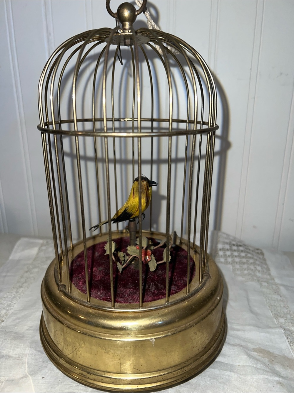 Early 20th Century Musical Bird Automaton